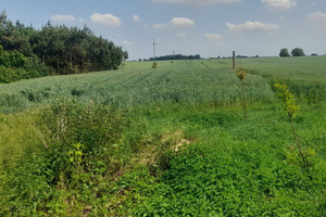 Działka na sprzedaż toruński Lubicz Złotoria - zdjęcie 1