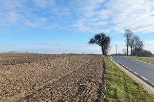 Działka na sprzedaż 81000m2 poznański Tarnowo Podgórne Lusówko - zdjęcie 1