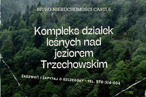 Działka na sprzedaż 3000m2 starogardzki Kaliska Iwiczno - zdjęcie 1