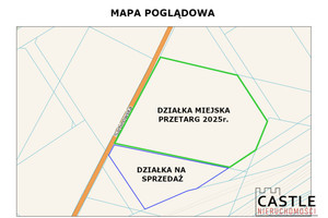 Działka na sprzedaż 12500m2 Poznań Żegrze Sarbinowska - zdjęcie 2