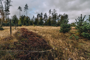 Działka na sprzedaż 1400m2 kartuski Sulęczyno - zdjęcie 2