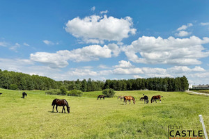 Działka na sprzedaż 1271m2 kartuski Sulęczyno Borek Kamienny - zdjęcie 1