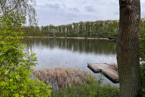 Działka na sprzedaż 1221m2 gnieźnieński Mieleszyn Kowalewo - zdjęcie 3