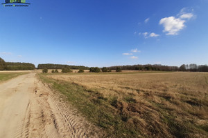 Działka na sprzedaż hajnowski Czyże Wólka - zdjęcie 3