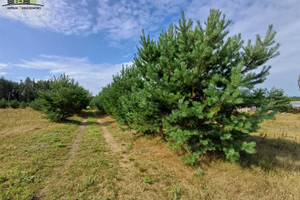 Działka na sprzedaż 124900m2 białostocki Michałowo - zdjęcie 3