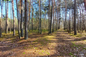 Działka na sprzedaż 28080m2 białostocki Zabłudów Skrybicze - zdjęcie 2