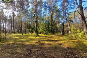 Działka na sprzedaż 28080m2 białostocki Zabłudów Skrybicze - zdjęcie 3