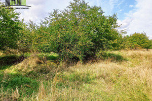 Działka na sprzedaż 1008m2 białostocki Choroszcz Porosły - zdjęcie 3