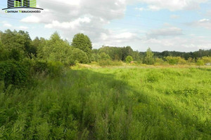 Działka na sprzedaż 19500m2 sokólski Sokółka Zadworzany - zdjęcie 2