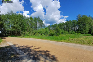 Działka na sprzedaż 885m2 białostocki Zabłudów Halickie - zdjęcie 3