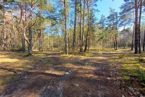 Działka na sprzedaż 62800m2 sokólski Szudziałowo Wojnowce - zdjęcie 3