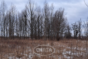 Działka na sprzedaż 4015m2 prudnicki Prudnik Czyżowice - zdjęcie 1