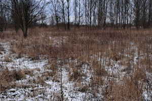 Działka na sprzedaż 4015m2 prudnicki Prudnik Czyżowice - zdjęcie 2