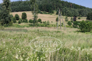 Działka na sprzedaż 20200m2 kłodzki Radków Wambierzyce Wiejska - zdjęcie 1