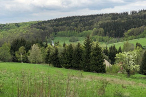 Działka na sprzedaż 6608m2 wałbrzyski Walim Michałkowa Wiejska - zdjęcie 1