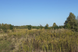 Działka na sprzedaż 4009m2 otwocki Karczew Łukówiec - zdjęcie 2