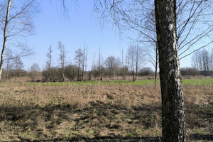 Działka na sprzedaż 1650m2 otwocki Wiązowna Glinianka - zdjęcie 3