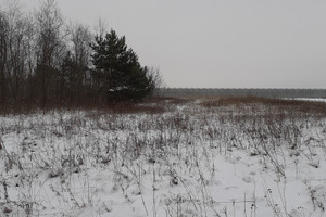 Działka na sprzedaż 10000m2 otwocki Karczew Całowanie - zdjęcie 2