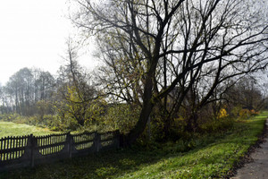 Działka na sprzedaż 3700m2 zambrowski Zambrów Wiśniewo - zdjęcie 1