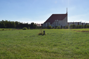 Działka na sprzedaż 6000m2 zambrowski Zambrów Białostocka - zdjęcie 2