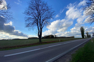 Działka na sprzedaż 9193m2 zambrowski Zambrów Nagórki-Jabłoń - zdjęcie 1