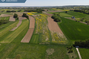 Działka na sprzedaż 21500m2 rzeszowski Boguchwała Zgłobień - zdjęcie 3