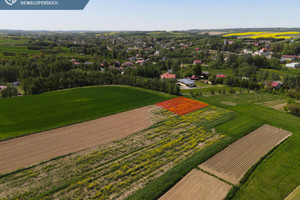 Działka na sprzedaż 999m2 rzeszowski Boguchwała Zgłobień - zdjęcie 2