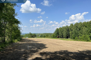 Działka na sprzedaż 1200m2 rzeszowski Lubenia - zdjęcie 2