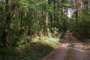 Działka na sprzedaż 1500m2 zgierski Zgierz Dąbrówka Wielka Przylesie - zdjęcie 3