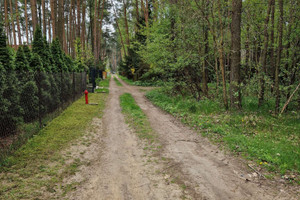 Działka na sprzedaż zgierski Zgierz Kania Góra Akacjowa - zdjęcie 3