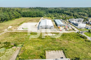 Komercyjne do wynajęcia 600m2 Gdańsk Osowa Jagiellończyka Kazimierza Aleja - zdjęcie 4