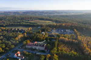 Komercyjne na sprzedaż 119m2 zamojski Adamów Adamów  - zdjęcie 1