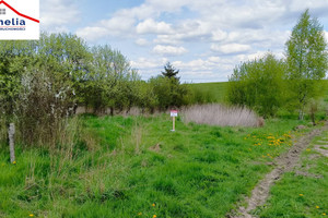 Działka na sprzedaż ostródzki Miłakowo Książnik - zdjęcie 1