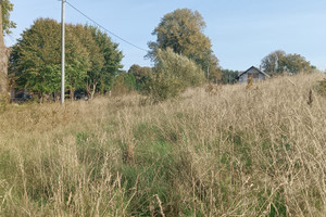 Działka na sprzedaż ostródzki Morąg Jędrychówko - zdjęcie 3