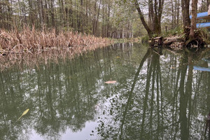 Dom na sprzedaż 90m2 mrągowski Sorkwity Borowe - zdjęcie 1