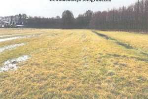 Działka na sprzedaż 2728m2 turecki Władysławów Lecha - zdjęcie 1