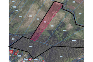 Działka na sprzedaż 42972m2 poznański Mosina Daszewice Piotrowska - zdjęcie 2