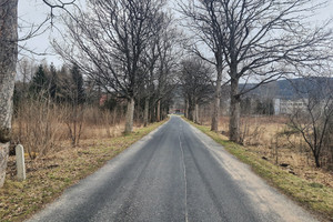 Działka na sprzedaż 5559m2 karkonoski Kowary Kasztanowa - zdjęcie 2