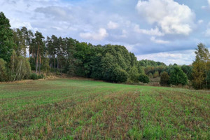 Działka na sprzedaż 1044m2 kościerski Liniewo Stary Wiec - zdjęcie 1