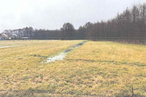 Działka na sprzedaż 2728m2 turecki Władysławów Lecha - zdjęcie 2