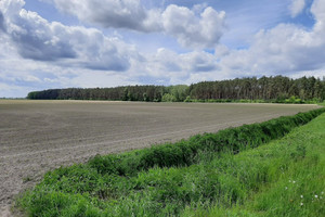 Działka na sprzedaż 44985m2 krotoszyński Zduny Rochowska - zdjęcie 2