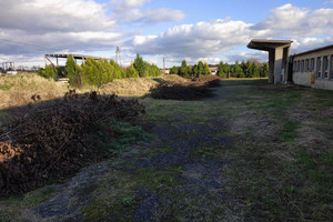 Komercyjne na sprzedaż 4717m2 kluczborski Wołczyn Gierałcice - zdjęcie 2