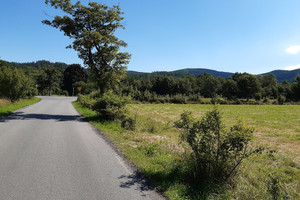 Działka na sprzedaż 5877m2 karkonoski Kowary Kamiennogórska - zdjęcie 3