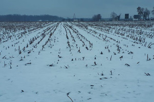 Działka do wynajęcia 88281m2 pszczyński Goczałkowice-Zdrój - zdjęcie 3