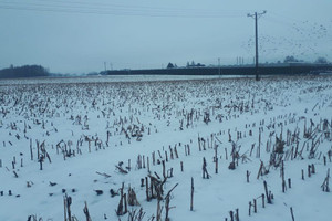 Działka do wynajęcia 88281m2 pszczyński Goczałkowice-Zdrój - zdjęcie 4