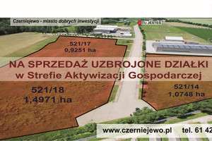 Działka na sprzedaż 2998m2 gnieźnieński Czerniejewo - zdjęcie 1