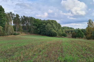 Działka na sprzedaż 1044m2 kościerski Liniewo Stary Wiec - zdjęcie 1