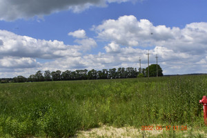 Działka na sprzedaż 884m2 oleśnicki Syców Stanisława Wyspiańskiego - zdjęcie 2