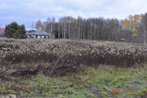 Działka na sprzedaż 1064m2 oleśnicki Syców Wioska - zdjęcie 1