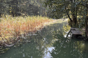 Dom na sprzedaż 90m2 mrągowski Sorkwity Borowe - zdjęcie 3